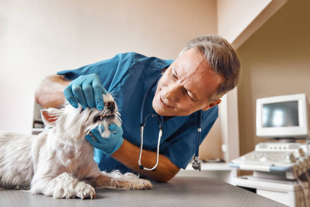 Best Pediatric Emergency Dentist in Bainbridge, GA